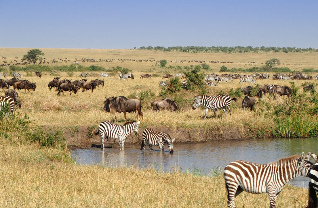 Business and Biodiversity
